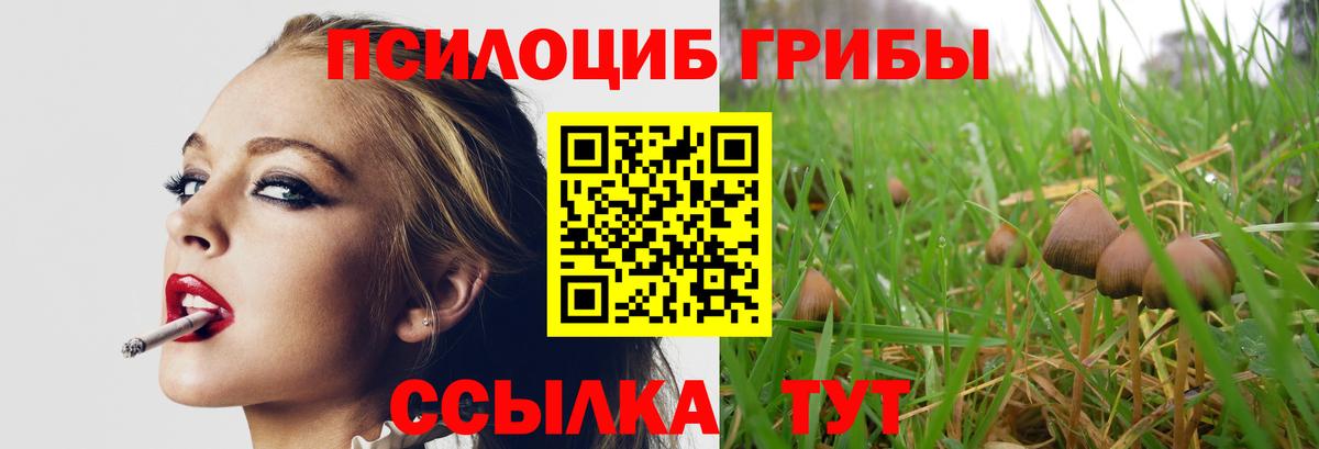 Галлюциногенные грибы Magic Shrooms Великий Устюг
